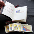 An open book shown with colourful image squares of creatures from a medieval bestiary