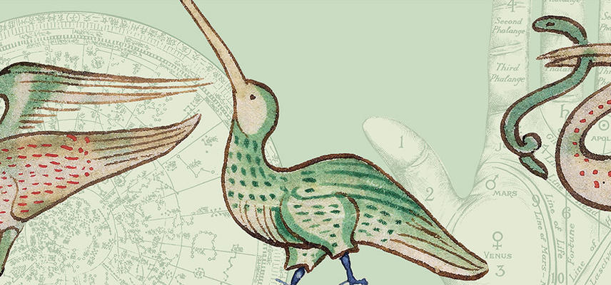 Three fantastical birds with red and green colouring on a light green background